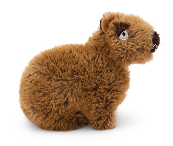NICI Capybara