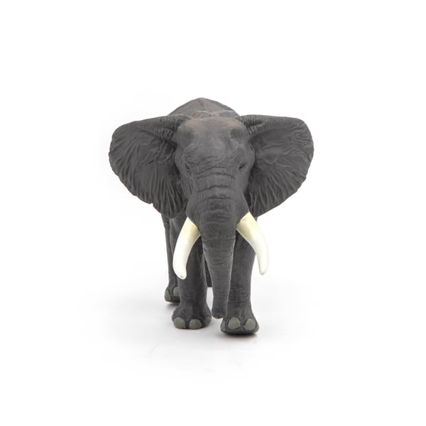 Afrikansk elefant