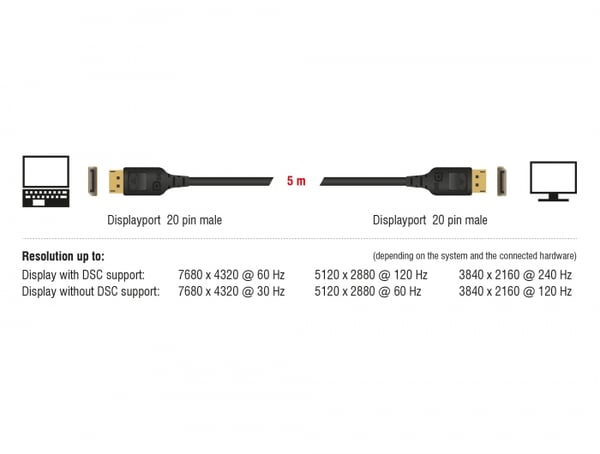 DeLOCK 85663 DisplayPort kabel 5 m Sort