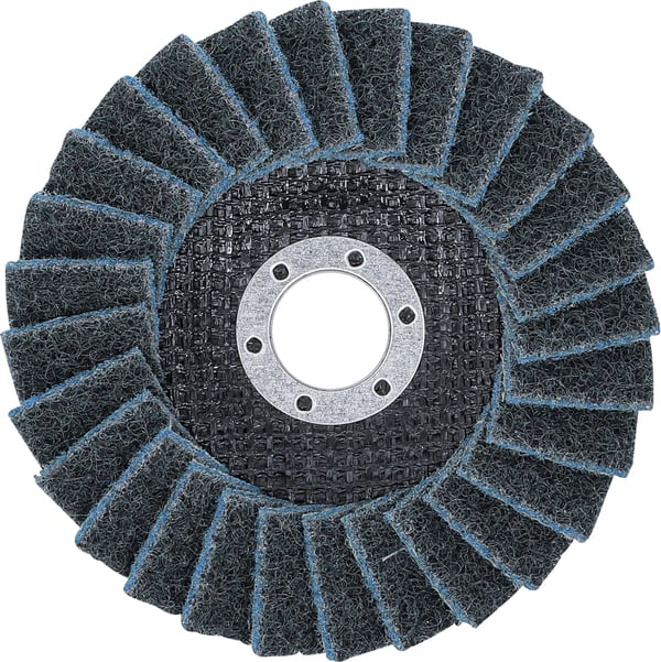BGS technic Flap Disc