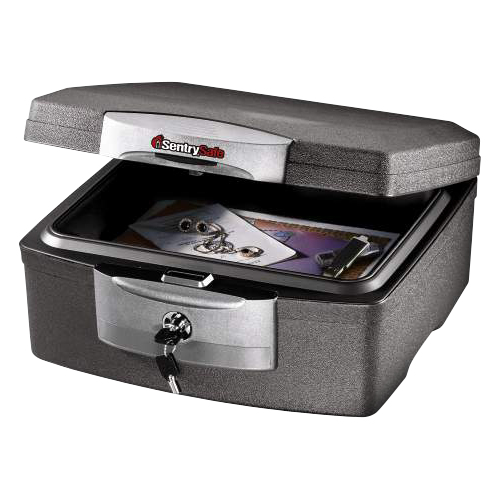SentrySafe F2300 säkerhetsskåp Svart, Silver