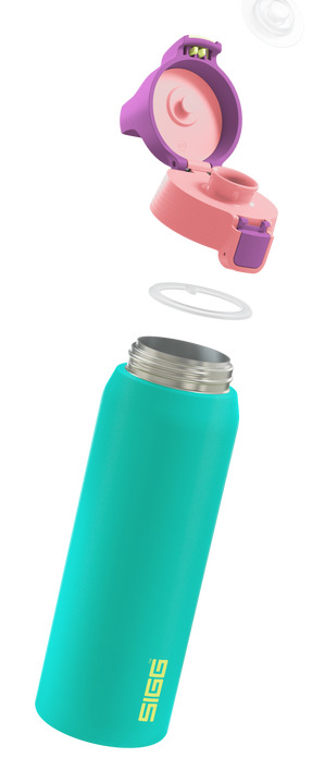 Miniatyrbillede 4 af 4: SIGG 6228.20 drikkedunk Dagligt forbrug 750 ml Rustfrit stål Grøn