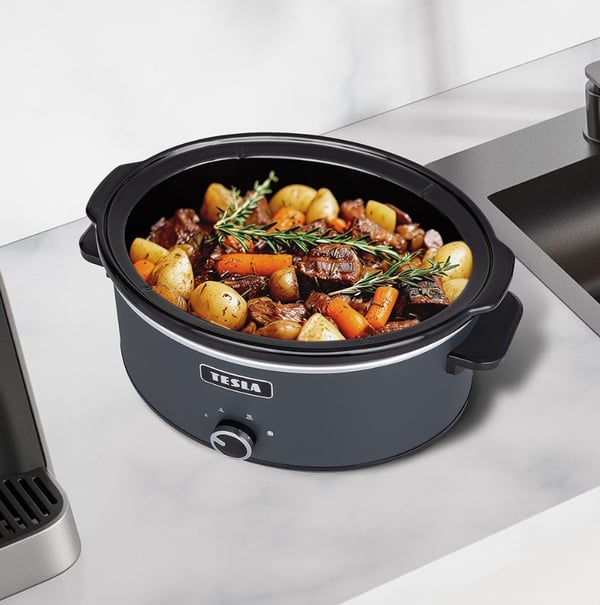 Tesla SlowCook S500 6,5 l 270 W Svart