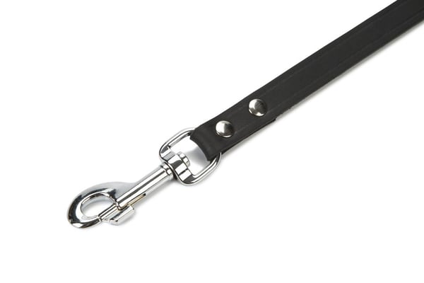 Beeztees 736315 1 m Svart Läder Hund Vanligt koppel