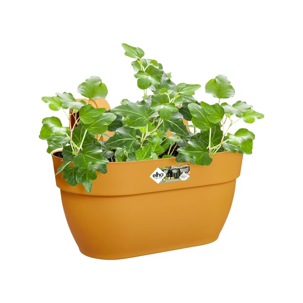 elho 8711904497958 planteringskruka Utomhus Plast Gul
