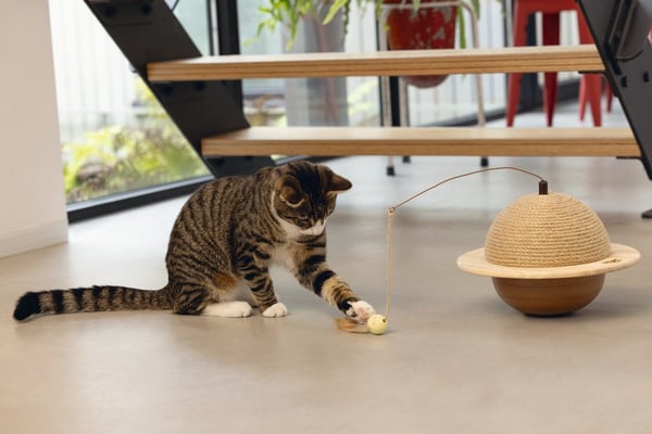 Designed by Lotte Holz Kratzball Holz/Jute Klösstolpe för katter