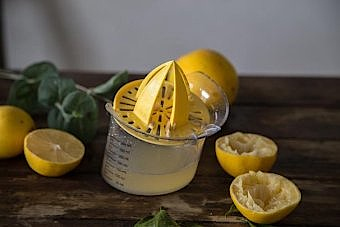 Fackelmann 42615 citruspress