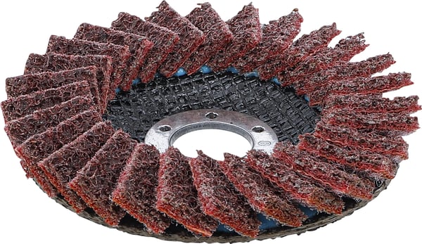 Pikkukuva 5 / 5: BGS technic Flap Disc
