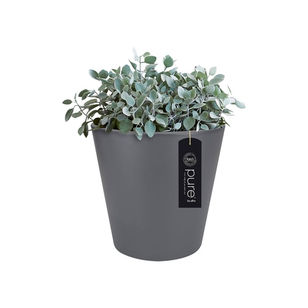 Miniatyrbillede 6 af 6: elho 8711904193881 urtepotte Sort Plast