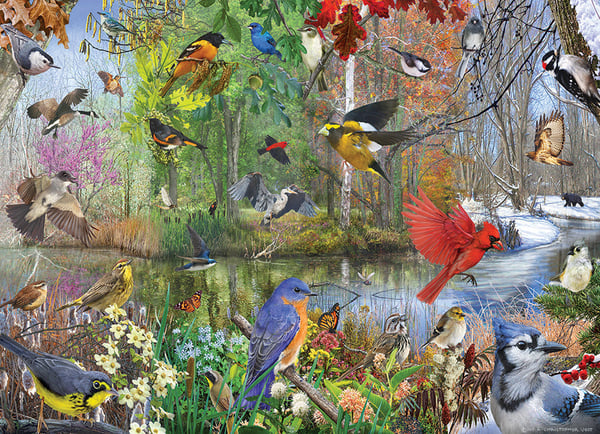 Cobble Hill Birds of the Season Kuviopalapeli 1000 kpl