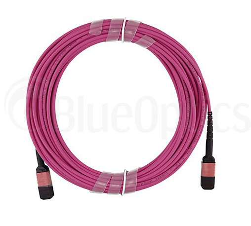 Miniatyrbillede 2 af 7: BlueOptics CBL-MPO12-OM4-2M InfiniBand og fiberoptisk kabel MPO Violet