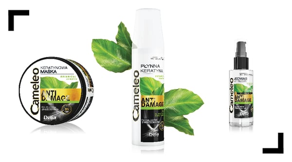 Delia Cosmetics Cameleo Anti-Damage Hårlak Kvinder 150 ml