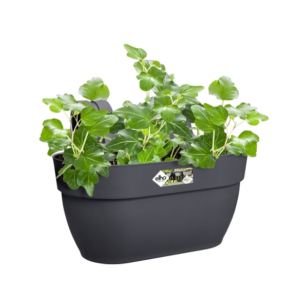 elho 8711904492960 planteringskruka Utomhus Plast Svart