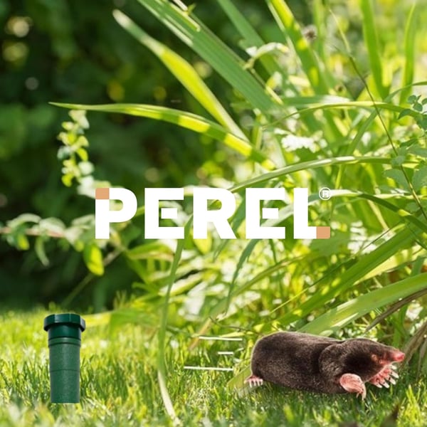 Miniatyrbild 4 av 8: Perel 362204 övrigt