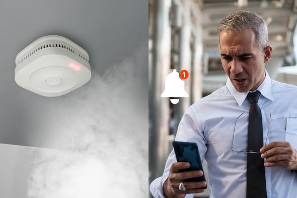 Alecto SMARTSMOKE11 smart rökdetektor Optisk detektor Hopkopplingsbara Trådlösa anslutningar