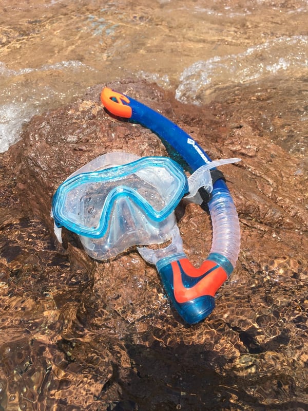 Schildkröt Funsports 940011 dykkemaske Blå, Orange, Transparent Barn