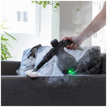 Cecotec 05515 höyrypesuri Kannettava höyrypesuri 0,35 L 1000 W Musta, Harmaa