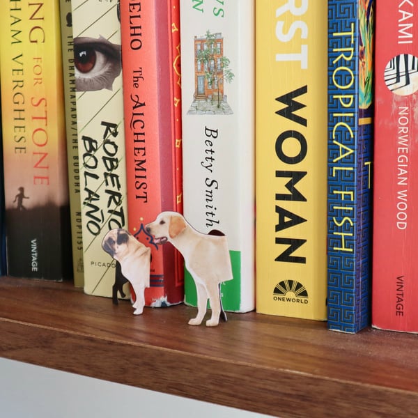 Kikkerland ST129 bogmærke Magnetic bookmark Flerfarvet 8 stk
