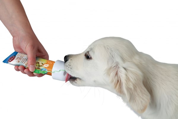 TRIXIE 24555 vattenflaska för hund