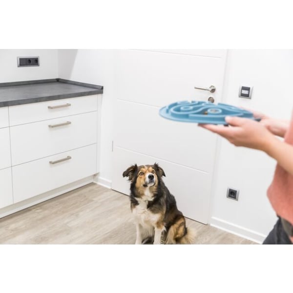 Miniatyrbild 6 av 11: TRIXIE 25037 skål till hund och katt Matskål för husdjur