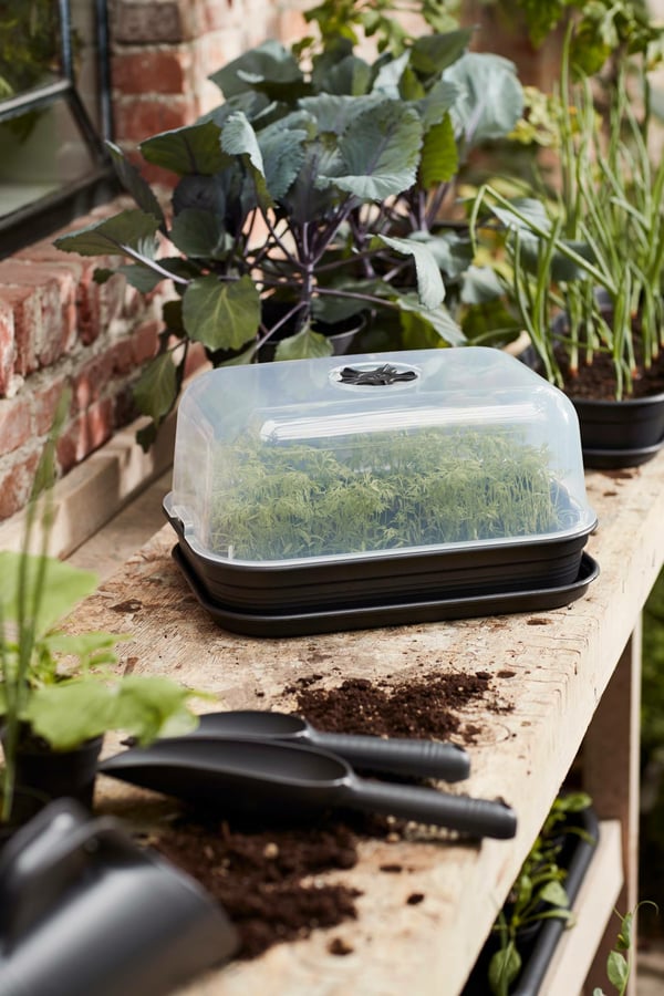 Miniatyrbillede 5 af 12: elho 8711904323103 plantekasse Plast Sort