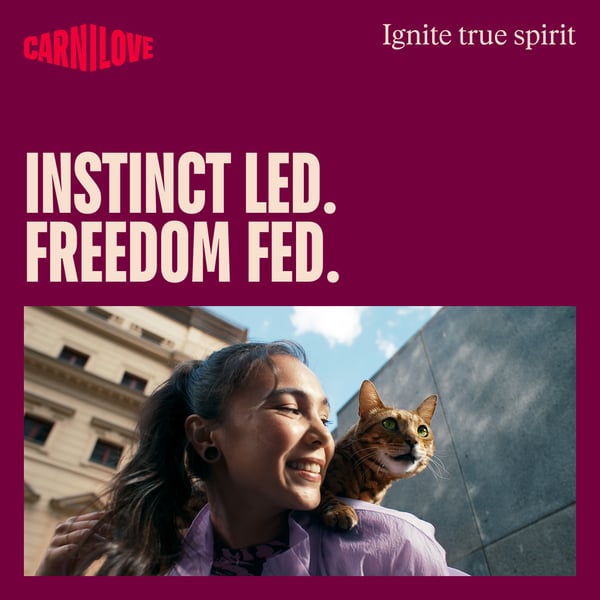 Miniatyrbillede 9 af 9: CARNILOVE FREEZE DRIED Kat Snacks Bøf 40 g