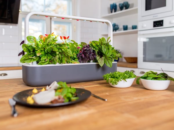 Miniatyrbild 5 av 9: Click & Grow Smart Garden 9 trädgård Vit