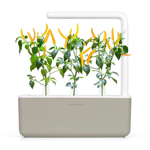 Click & Grow SGR60x3 3 styck Chilipeppar Påfyllning