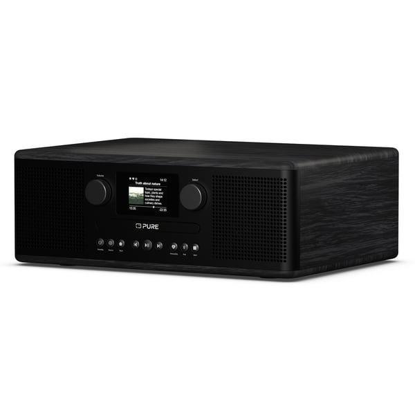 Pure 254587 radioapparater Internet Digital Svart