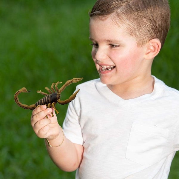 Safari Ltd Backyard Activity Bundle