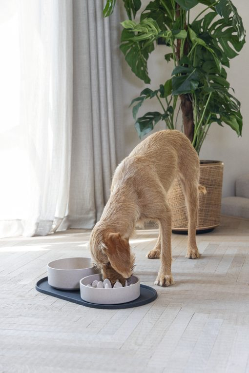 Miniatyrbillede 7 af 10: Designed by Lotte Oona