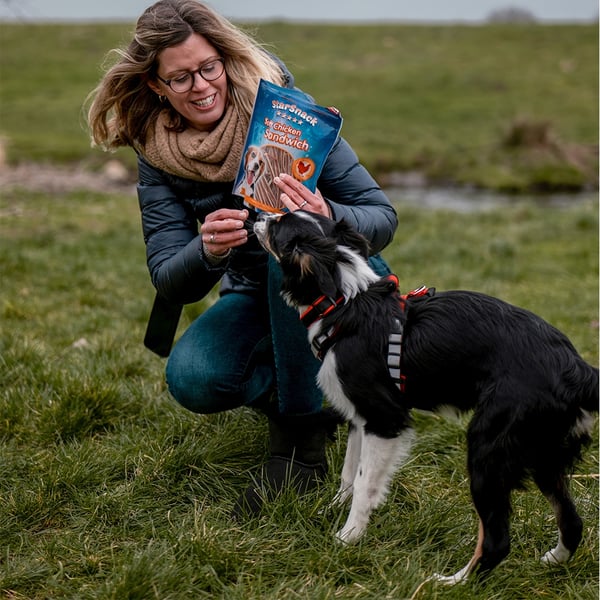 Miniatyrbillede 4 af 4: Nobby 70068 godbid til hund og kat Snacks Kylling 70 g