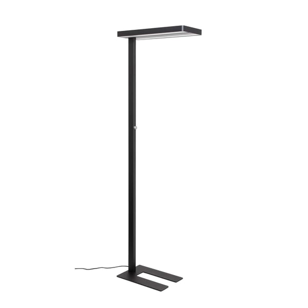Miniatyrbillede 1 af 8: MAUL 8258690 gulvbelysning LED C