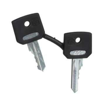 Schneider Electric ZBG455 elektrisk skift tilbehør Nøgle