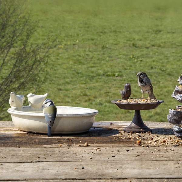 Miniatyrbillede 6 af 7: Esschert Design FB404 fuglebad