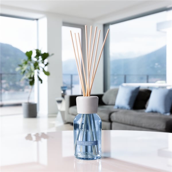 Millefiori Blue Posidonia doftspridare Doftflaska Glas, Trä Blå, Vit, Trä