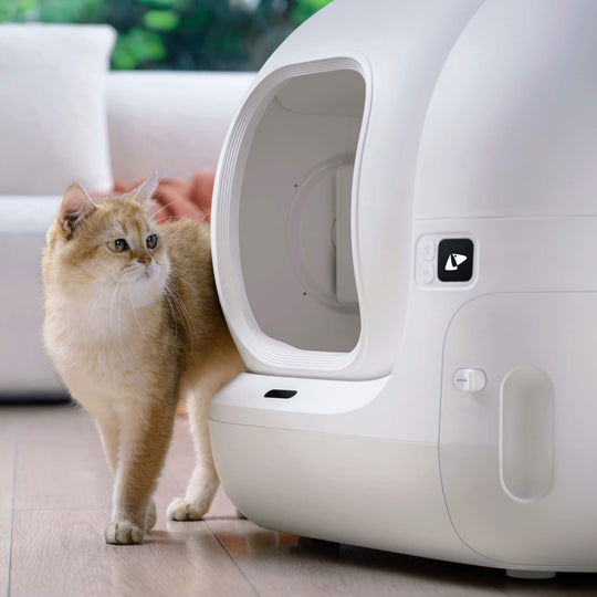 Miniatyrbillede 2 af 6: PETKIT Puramax Kat Selvrensende kattebakke Hvid