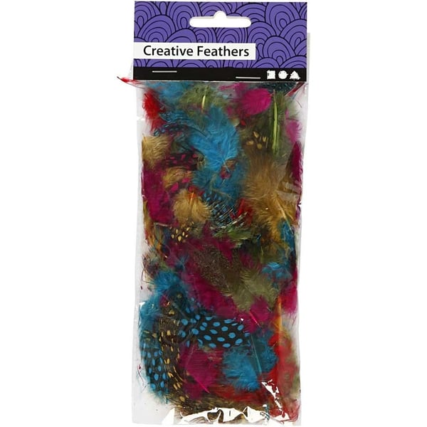Creativ Company 51813 fjer Flerfarvet