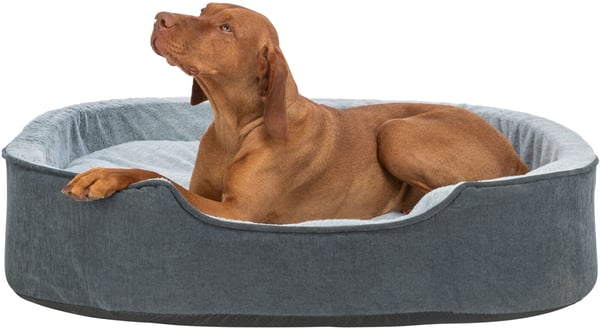 TRIXIE 374060 hunde- og katteseng Pude kæledyrseng