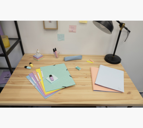 Exacompta 55560E folder Pressboard Forskellige farver, Blå, Koral, Grøn, Mauve, Gul A4