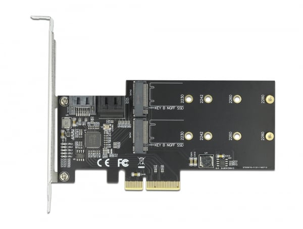 DeLOCK 90499 nätverkskort/adapters Intern M.2, SATA