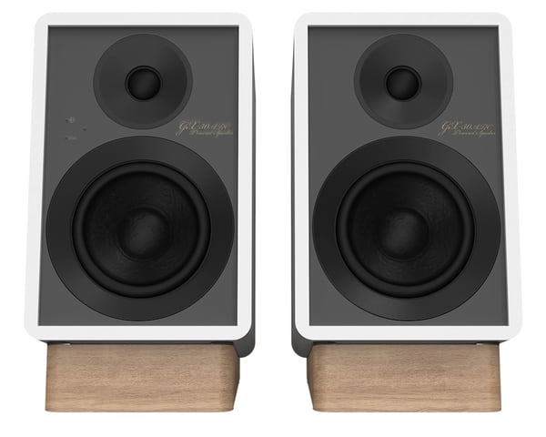 ONKYO GX-30ARC 2-vägs Grå, Vit Kabel & Trådlös 50 W