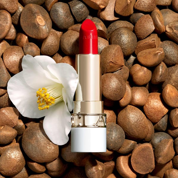 Clarins Joli Rouge 3,5 g 742S Satin