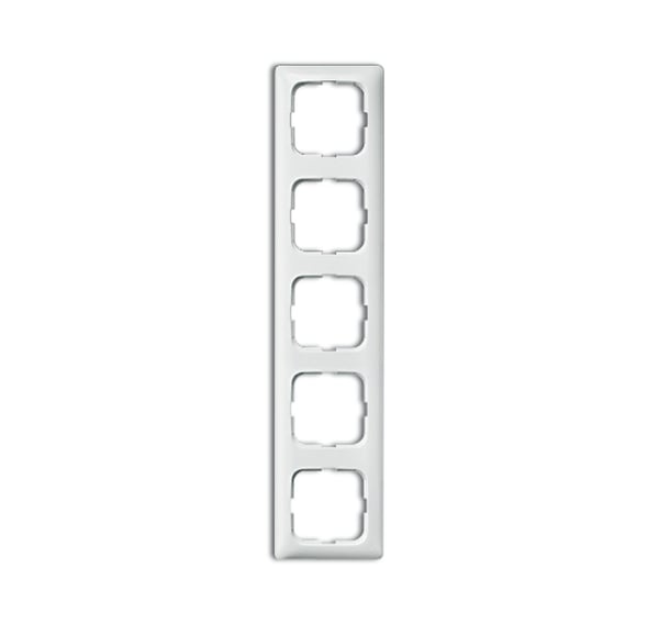 Busch-Jaeger RAMME 5-GANGS / BUSCH 2515-214K-102 2CKA001725A1498