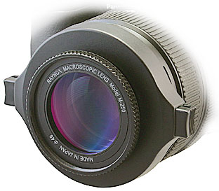 Raynox DCR-250 Videokamera Makrolinse Sort Raynox DCR-250 Videokamera Makrolinse Sort