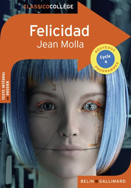 Felicidad kirja Ranska 352 sivua