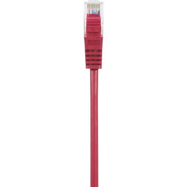 Renkforce RF-5043842 netværkskabel Rød 0,5 m Cat5e U/UTP (UTP)