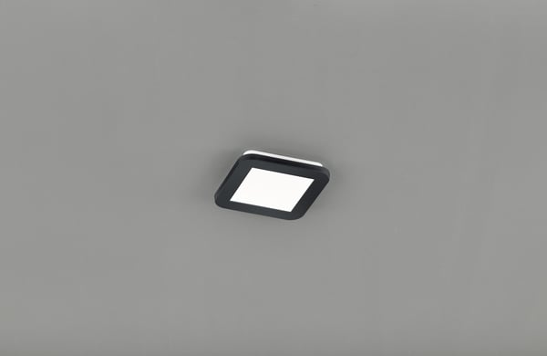 TRIO r62931032