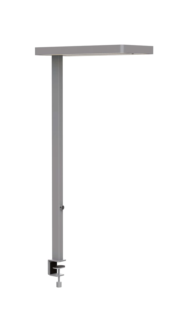 MAUL 8258795 golvbelysning LED 80 W