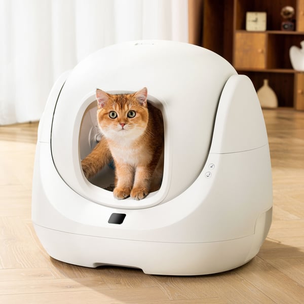 Miniatyrbild 12 av 13: Petoneer CL96961 hund- och kattsandlåda Katt Kattsandlåda med tak Vit